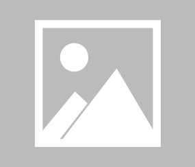 爱游戏体育-Scout回归赛场，回归赛场首场状态亮眼，篮网观众沸腾！的简单介绍